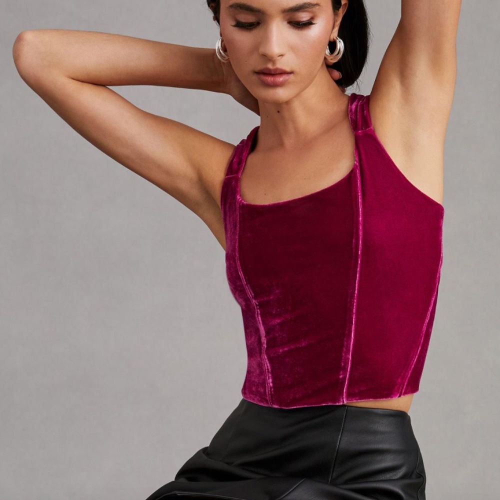 ⭐️ Velvet Corset Chic Glam Girly Romantic Love Cottage Party Hipster Hip Top